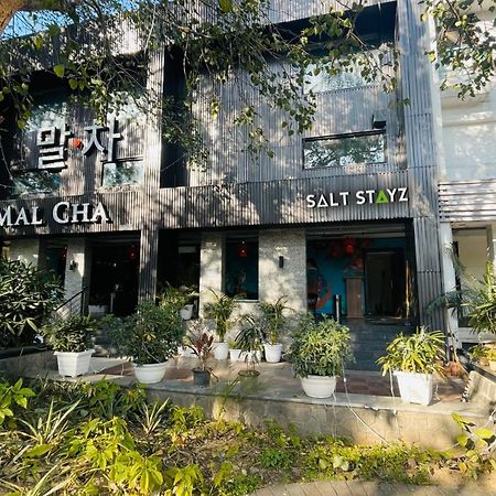 Saltstayz Select - Malcha & Chankyapuri New Delhi Exterior photo